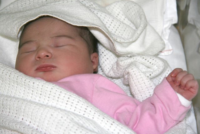 Scaled image img_3556_b.jpg (640x427, 74kB)