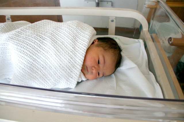 Scaled image img_3557_b.jpg (640x427, 79kB)