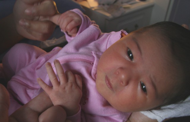 Scaled image img_3586_bc.jpg (640x413, 54kB)