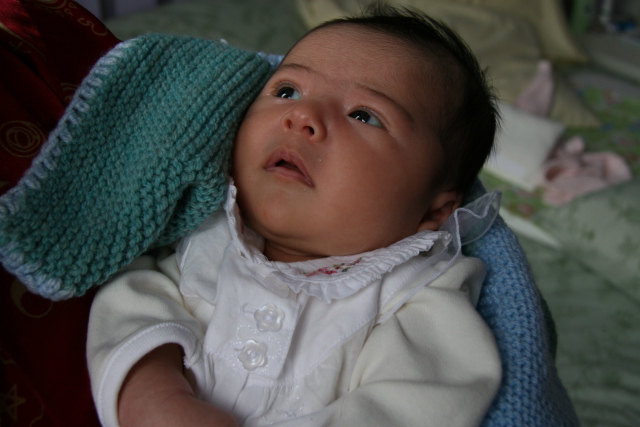 Scaled image img_3691.jpg (640x427, 146kB)