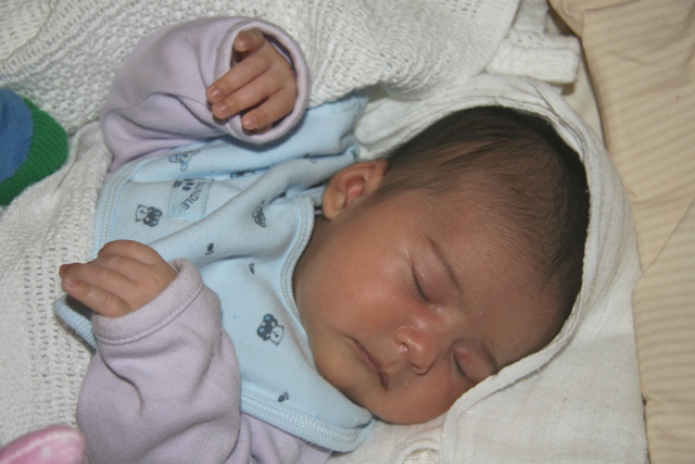 Scaled image img_3708_b.jpg (640x427, 158kB)