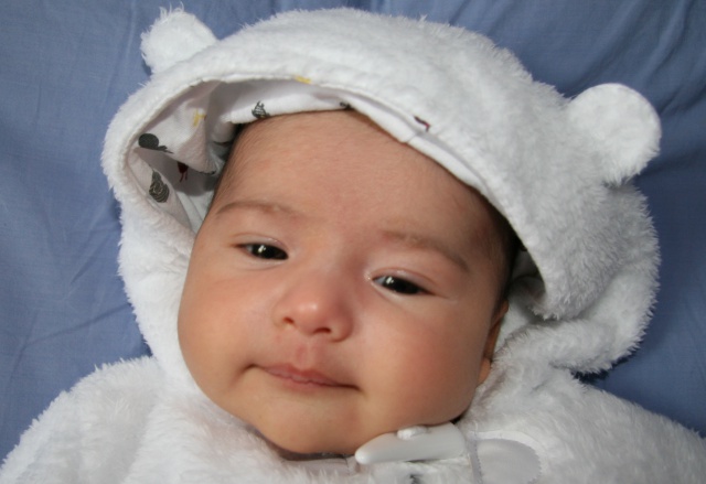 Scaled image img_3766_c.jpg (640x439, 83kB)