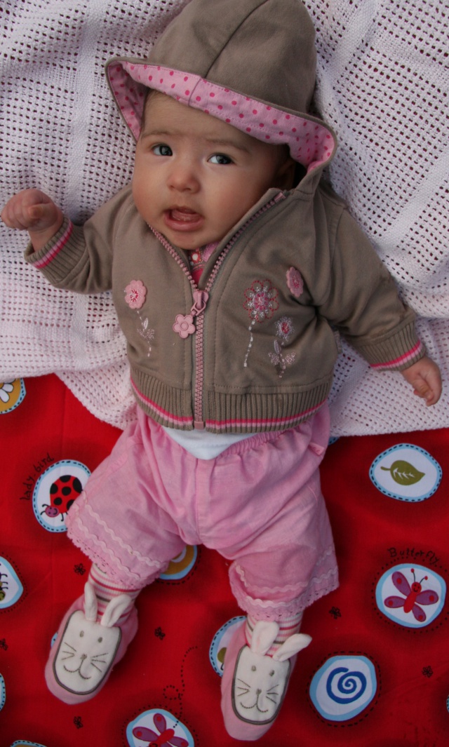 Scaled image img_3793_c.jpg (640x1065, 264kB)