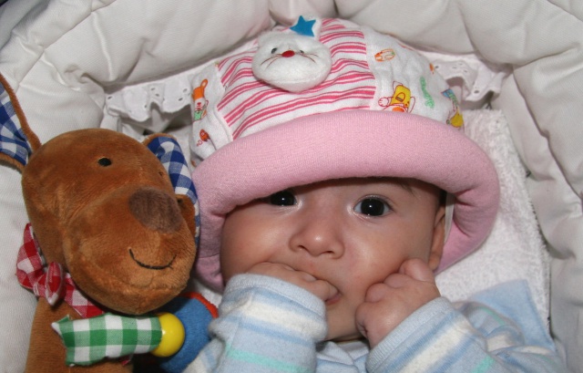 Scaled image img_3868_bc.jpg (640x409, 111kB)