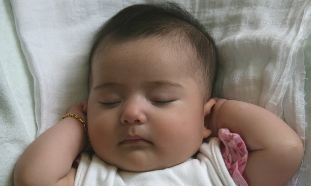 Scaled image img_3870_bc.jpg (640x382, 80kB)