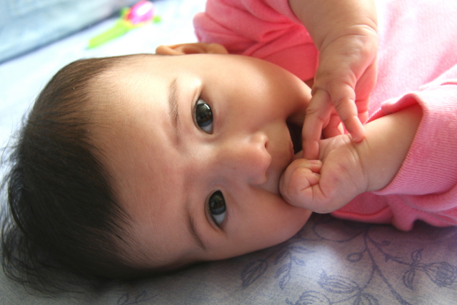 Scaled image img_3961_b.jpg (640x427, 152kB)