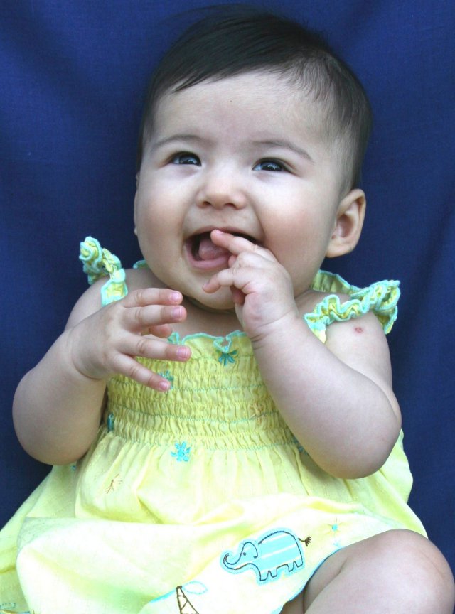 Scaled image img_4074_bc.jpg (640x864, 92kB)