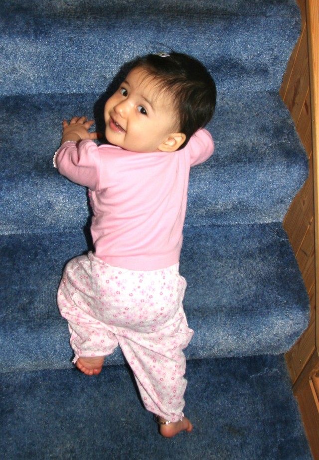 Scaled image img_4442_bcr.jpg (640x923, 189kB)