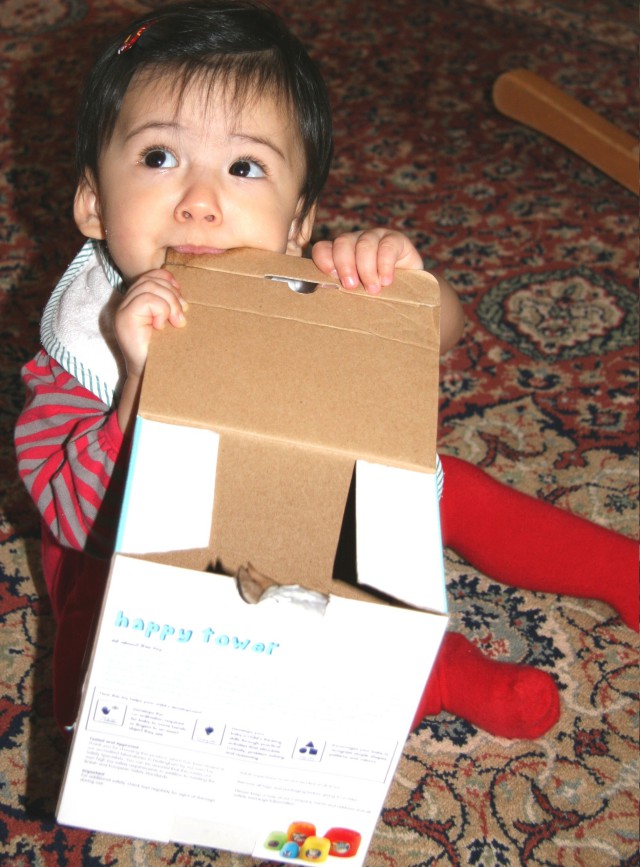 Scaled image img_4526_bcr.jpg (640x867, 142kB)