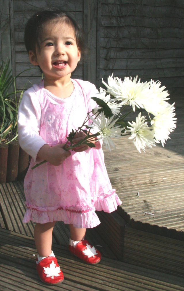 Scaled image img_4837_bcr.jpg (640x1010, 133kB)