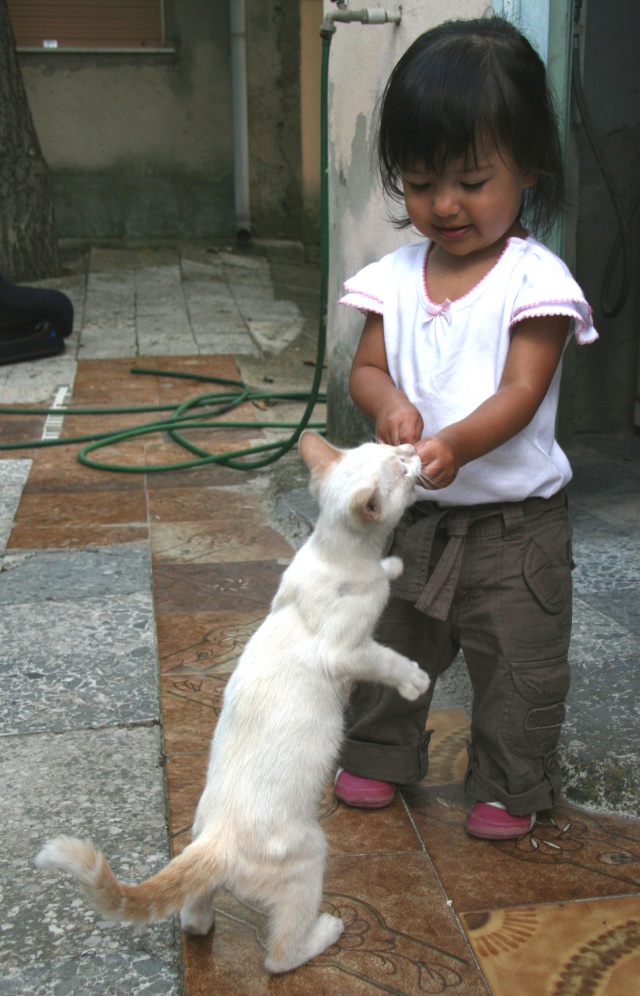 Scaled image img_5785_bcr.jpg (640x996, 225kB)