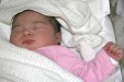 Thumbnail img_3556_b.jpg (113x75)