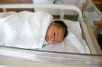 Thumbnail img_3557_b.jpg (113x75)