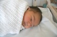 Thumbnail img_3558_b.jpg (113x75)