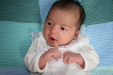 Thumbnail img_3684.jpg (113x75)