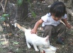 Thumbnail img_5773_bcr.jpg (103x75)