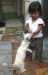 Thumbnail img_5785_bcr.jpg (48x75)